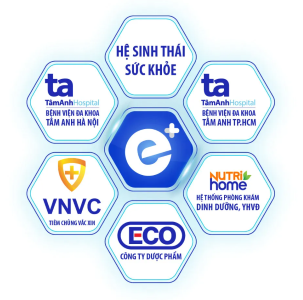 lĩnh vực hoạt động